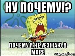 Ну почему!? Почему я не уезжаю в море, Мем Спанч Боб плачет