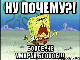 Ну почему?! Боооб ,не умирай,бооооб!!!, Мем Спанч Боб плачет