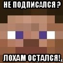 Не подписался ? Лохам остался!, Мем стив