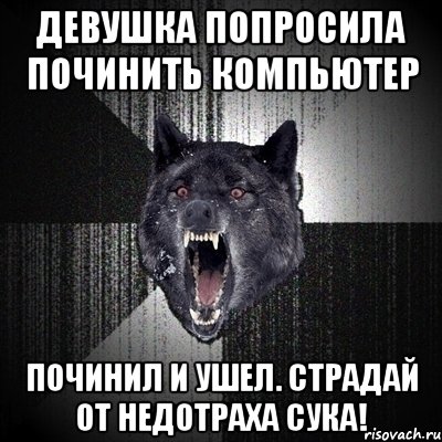 девушка попросила починить компьютер починил и ушел. страдай от недотраха сука!, Мем Сумасшедший волк