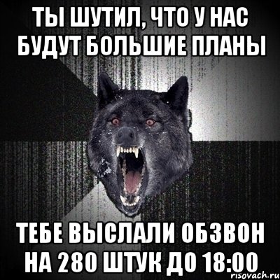 Ты шутил, что у нас будут большие планы Тебе выслали обзвон на 280 штук до 18:00, Мем Сумасшедший волк