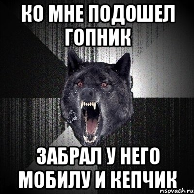 ко мне подошел гопник забрал у него мобилу и кепчик, Мем Сумасшедший волк