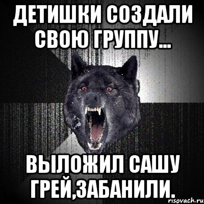 Детишки создали свою группу... Выложил Сашу Грей,забанили., Мем Сумасшедший волк