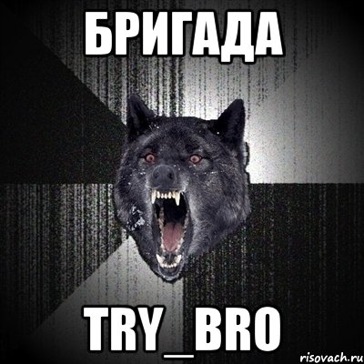 Бригада Try_Bro, Мем Сумасшедший волк