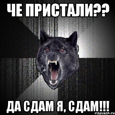 че пристали?? да сдам я, сдам!!!, Мем Сумасшедший волк