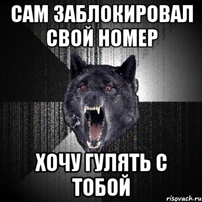 Сам Заблокировал свой номер Хочу гулять с тобой, Мем Сумасшедший волк