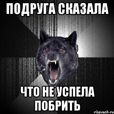 Подруга сказала Что не успела побрить, Мем Сумасшедший волк