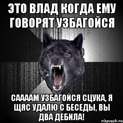 ЭТО ВЛАД КОГДА ЕМУ ГОВОРЯТ УЗБАГОЙСЯ Саааам узбагойся сцука, я щяс удалю с беседы, вы два дебила!, Мем Сумасшедший волк