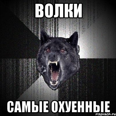 Волки Самые охуенные, Мем Сумасшедший волк