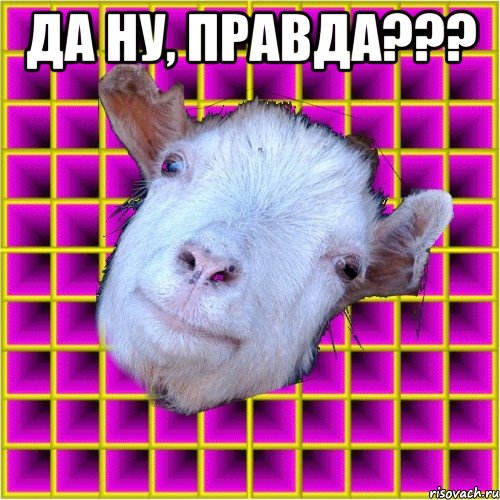 Да ну, правда??? 