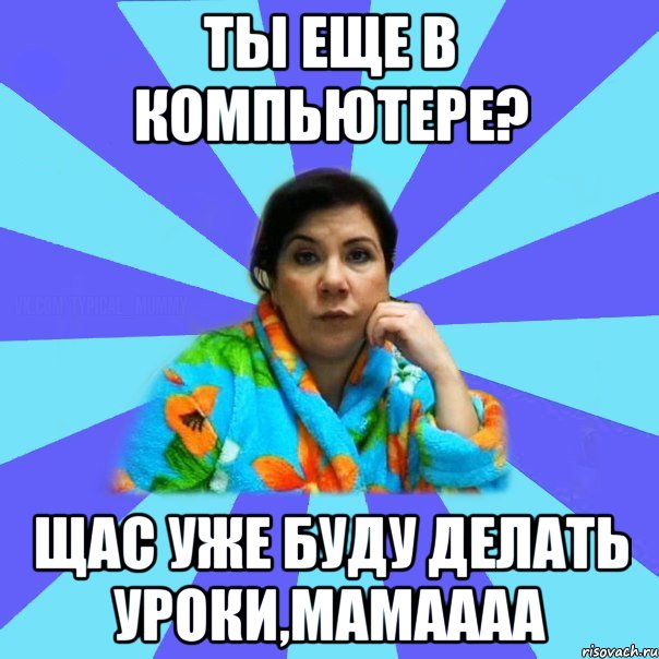 Ты еще в компьютере? Щас уже буду делать уроки,мамаааа, Мем типичная мама