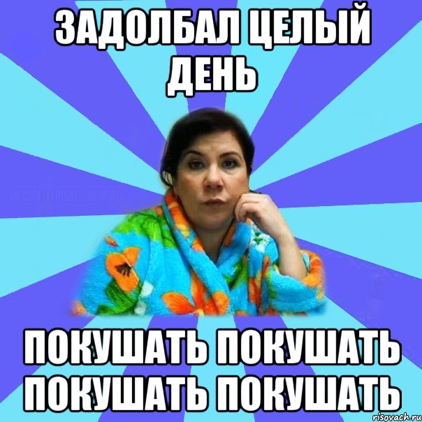 задолбал целый день покушать покушать покушать покушать, Мем типичная мама