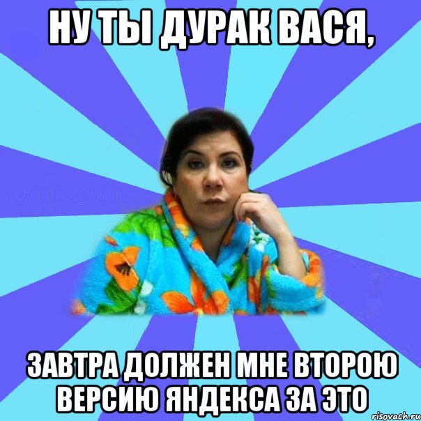 НУ ТЫ ДУРАК ВАСЯ, ЗАВТРА ДОЛЖЕН МНЕ ВТОРОЮ ВЕРСИЮ ЯНДЕКСА ЗА ЭТО, Мем типичная мама