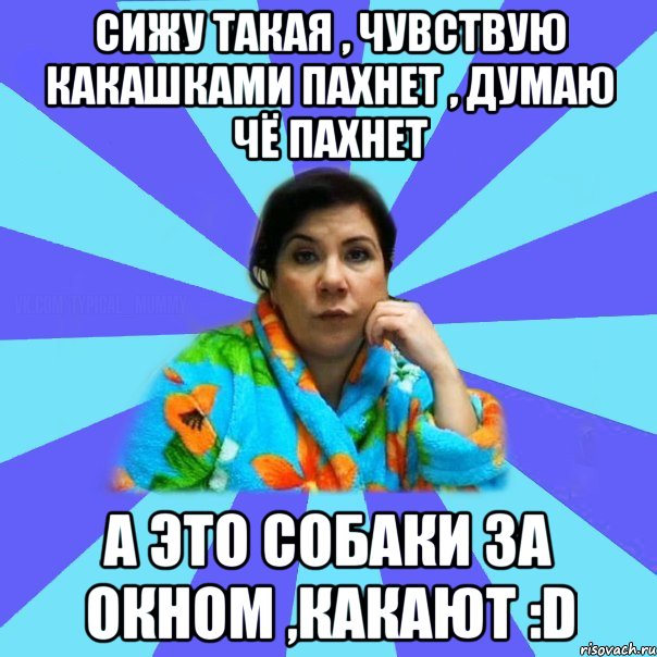 сижу такая , чувствую какашками пахнет , думаю чё пахнет а это собаки за окном ,какают :D, Мем типичная мама