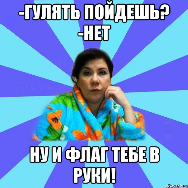 -Гулять пойдешь? -Нет Ну и флаг тебе в руки!, Мем типичная мама