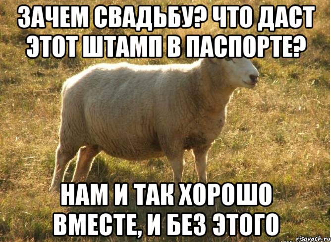 Зачем свадьбу? Что даст этот штамп в паспорте? Нам и так хорошо вместе, и без этого, Мем Типичная овца