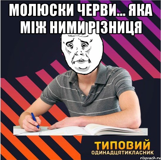 молюски черви... яка між ними різниця , Мем Типовий одинадцятикласник