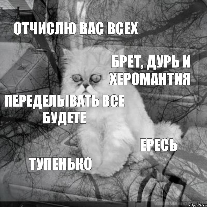 Отчислю вас всех Брет, дурь и херомантия Переделывать все будете Ересь Тупенько, Комикс  кот безысходность