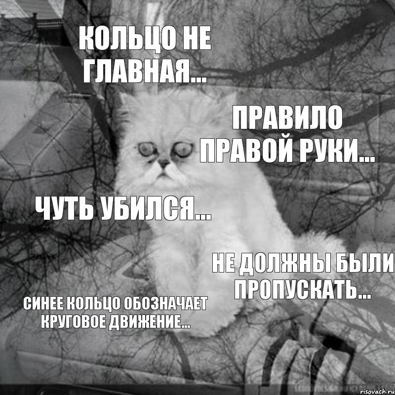 кольцо не главная... правило правой руки... чуть убился... не должны были пропускать... синее кольцо обозначает круговое движение..., Комикс  кот безысходность