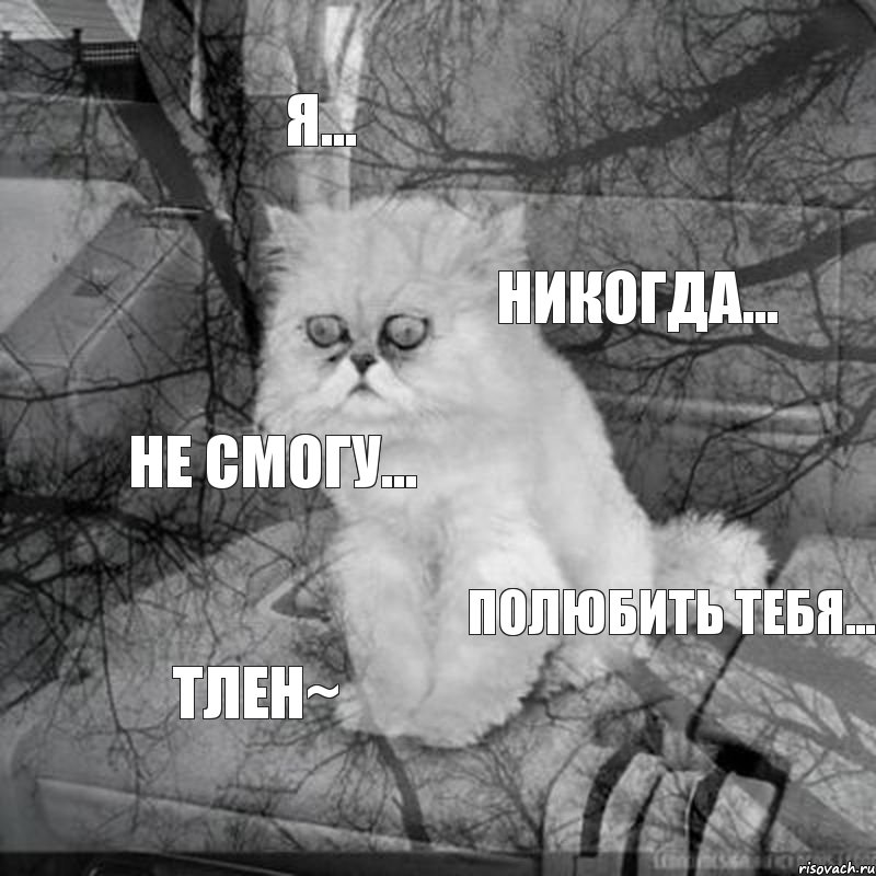 Я... Никогда... Не смогу... Полюбить тебя... ТЛЕН~, Комикс  кот безысходность