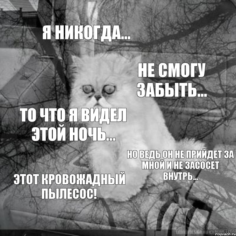 Я никогда... Не смогу забыть... То что я видел этой ночь... Но ведь он не прийдет за мной и не засосет внутрь... Этот кровожадный ПЫЛЕСОС!, Комикс  кот безысходность