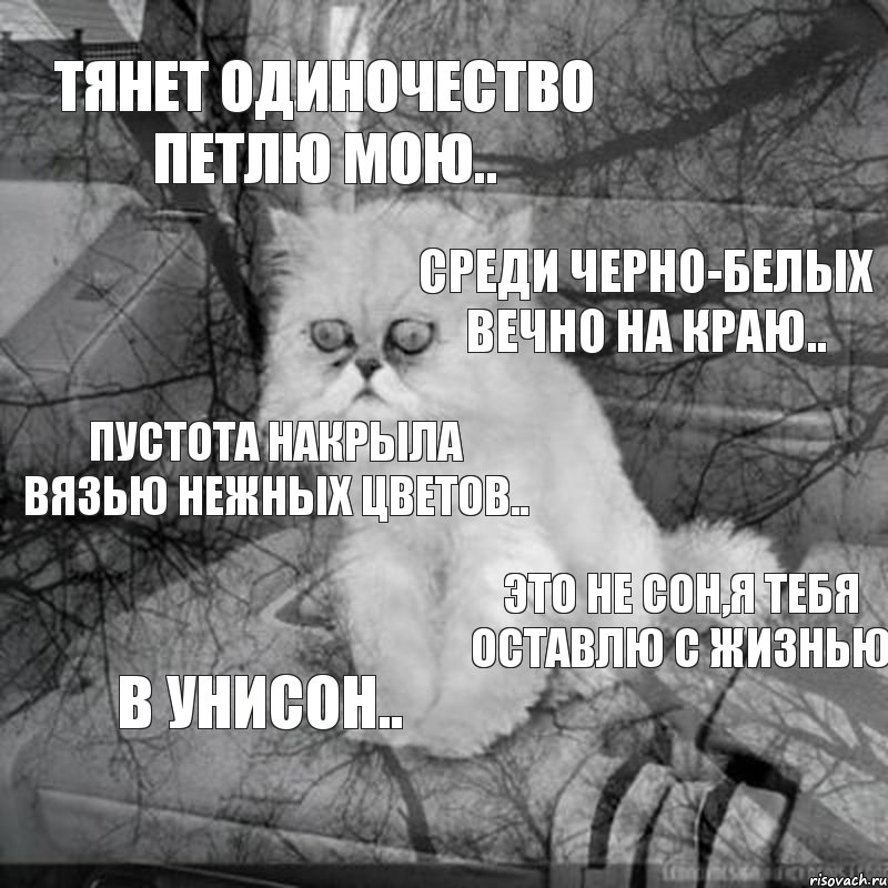 Тянет одиночество петлю мою.. Среди черно-белых вечно на краю.. Пустота накрыла вязью нежных цветов.. Это не сон,я тебя оставлю с жизнью В унисон.., Комикс  кот безысходность