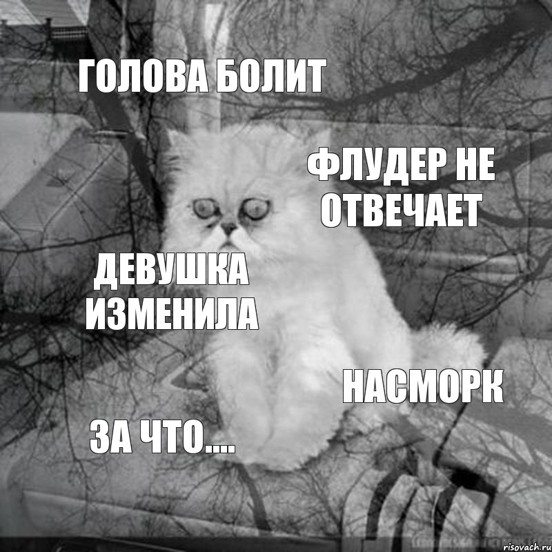 голова болит флудер не отвечает девушка изменила насморк за что...., Комикс  кот безысходность