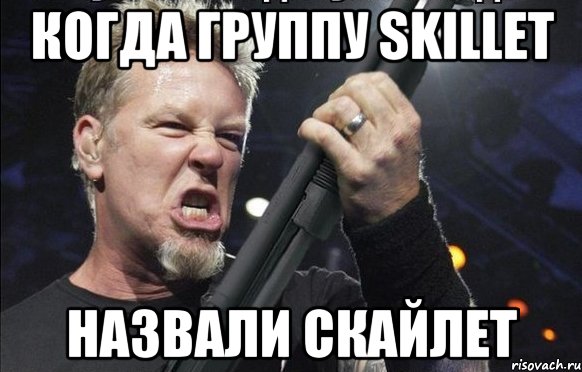 Когда группу Skillet назвали скайлет, Мем То чувство когда