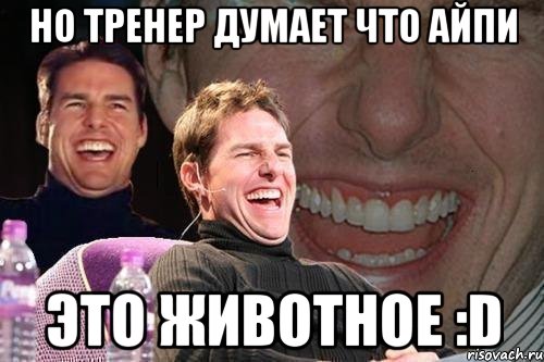 Но тренер думает что айпи Это животное :D, Мем том круз