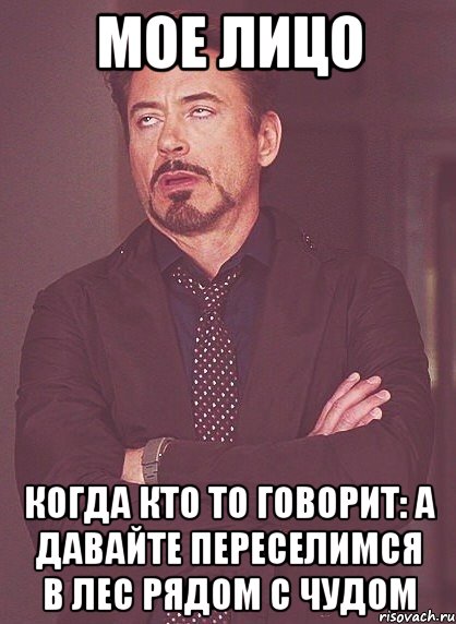 Мое лицо Когда кто то говорит: А ДАВАЙТЕ ПЕРЕСЕЛИМСЯ В ЛЕС РЯДОМ С ЧУДОМ, Мем твое выражение лица