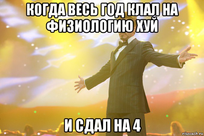 когда весь год клал на физиологию хуй и сдал на 4, Мем Тони Старк (Роберт Дауни младший)