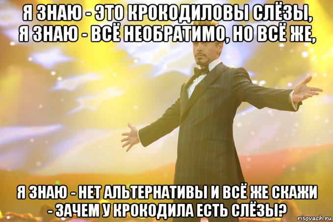 Я знаю - это крокодиловы слёзы, Я знаю - всё необратимо, но всё же, Я знаю - нет альтернативы и всё же Скажи - зачем у крокодила есть слёзы?, Мем Тони Старк (Роберт Дауни младший)