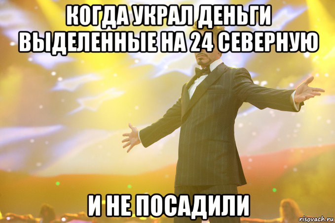 когда украл деньги выделенные на 24 северную и не посадили, Мем Тони Старк (Роберт Дауни младший)