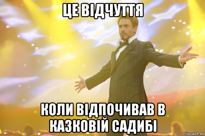 ЦЕ ВІДЧУТТЯ КОЛИ ВІДПОЧИВАВ В КАЗКОВІЙ САДИБІ, Мем Тони Старк (Роберт Дауни младший)