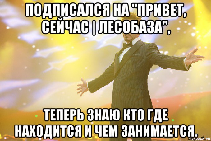 Подписался на "Привет, сейчас | Лесобаза", теперь знаю кто где находится и чем занимается., Мем Тони Старк (Роберт Дауни младший)