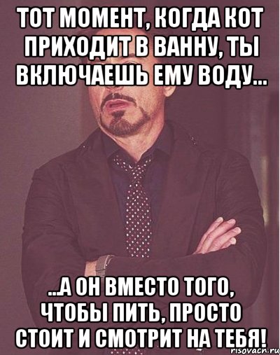 Тот момент, когда кот приходит в ванну, ты включаешь ему воду... ...а он вместо того, чтобы пить, просто стоит и смотрит на тебя!, Мем  Мое выражение лица (вертик)