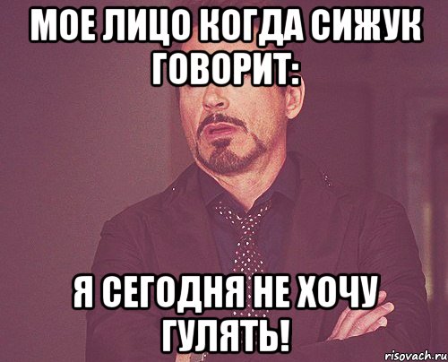 Мое лицо когда Сижук говорит: я сегодня не хочу гулять!, Мем твое выражение лица