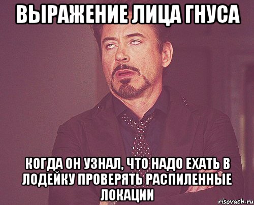 Выражение лица Гнуса Когда он узнал, что надо ехать в Лодейку проверять распиленные локации, Мем твое выражение лица