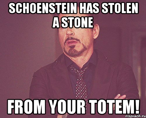 Schoenstein has stolen a stone from your totem!, Мем твое выражение лица