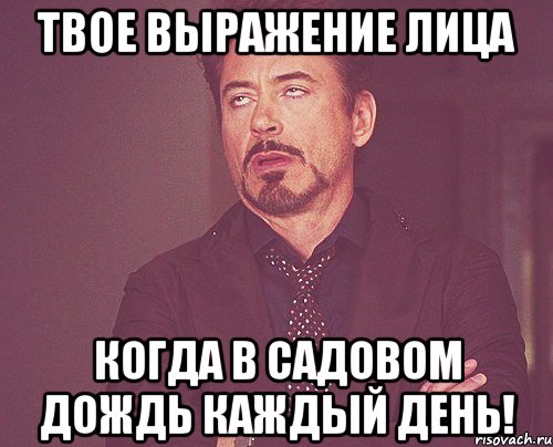 Твое выражение лица когда в садовом дождь каждый день!, Мем твое выражение лица