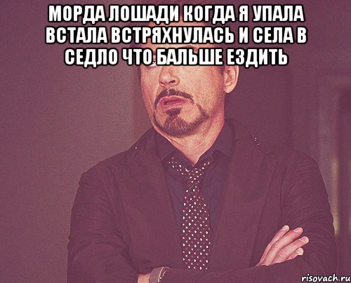 морда лошади когда я упала встала встряхнулась и села в седло что бальше ездить , Мем твое выражение лица