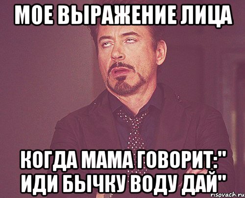 МОЕ ВЫРАЖЕНИЕ ЛИЦА КОГДА МАМА ГОВОРИТ:" ИДИ БЫЧКУ ВОДУ ДАЙ", Мем твое выражение лица