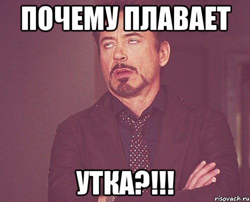 Почему плавает УТКА?!!!, Мем твое выражение лица