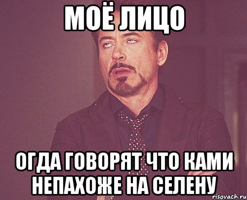 моё лицо огда говорят что Ками непахоже на Селену, Мем твое выражение лица