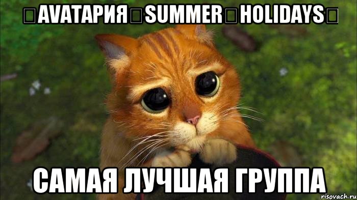 ♛Avaтaрия♛Summer♛Holidays♛ САМАЯ ЛУЧШАЯ ГРУППА, Мем кот из шрека