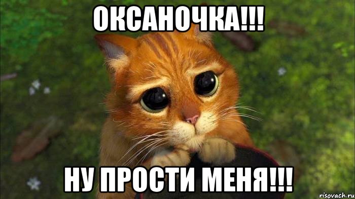 ОКСАНОЧКА!!! НУ ПРОСТИ МЕНЯ!!!, Мем кот из шрека