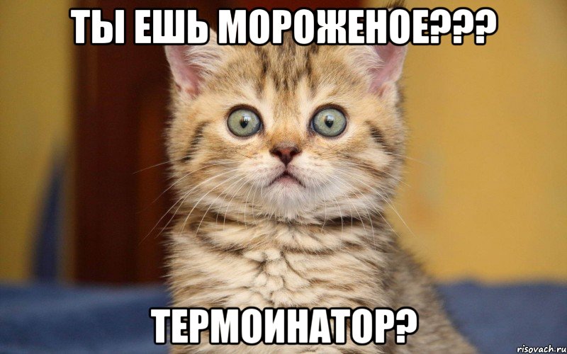 Ты ешь мороженое??? Термоинатор?, Мем  удивление