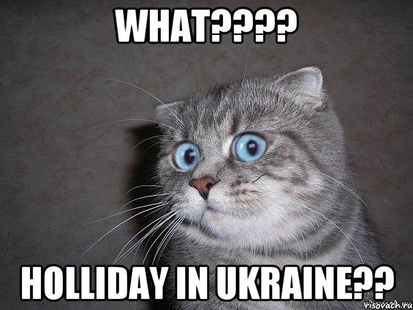 What???? Holliday in Ukraine??, Мем  удивлённый кот