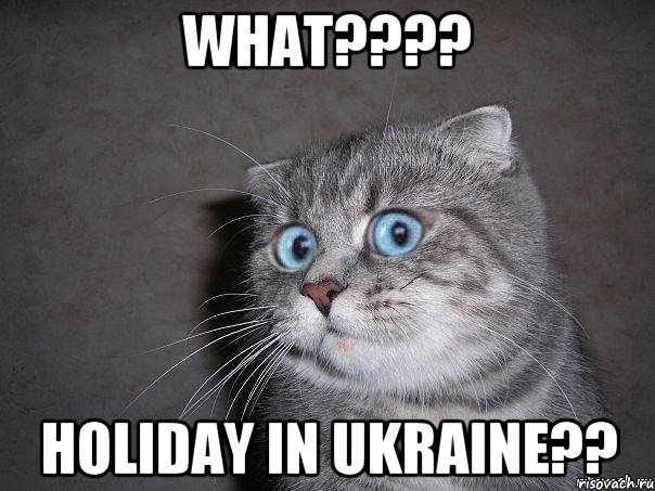 What???? Holiday in Ukraine??, Мем  удивлённый кот