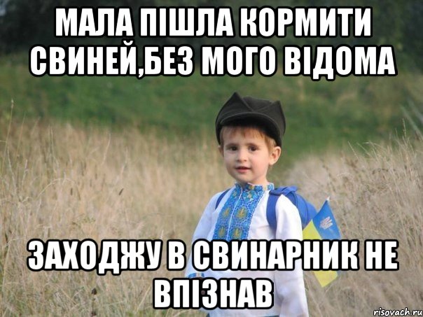 Мала пішла кормити свиней,без мого відома заходжу в свинарник не впізнав, Мем Украина - Единая